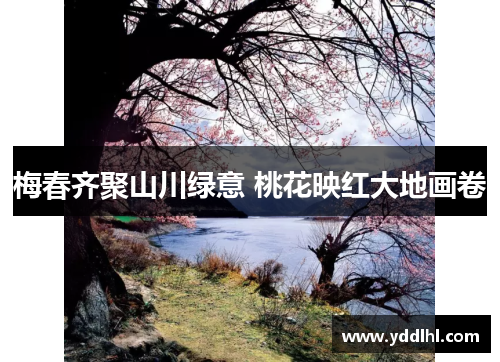 梅春齐聚山川绿意 桃花映红大地画卷