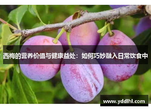 西梅的营养价值与健康益处:如何巧妙融入日常饮食中