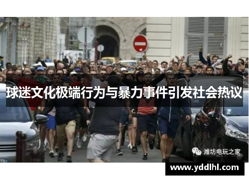 球迷文化极端行为与暴力事件引发社会热议